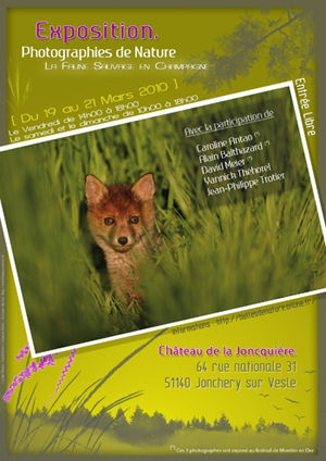 affiche